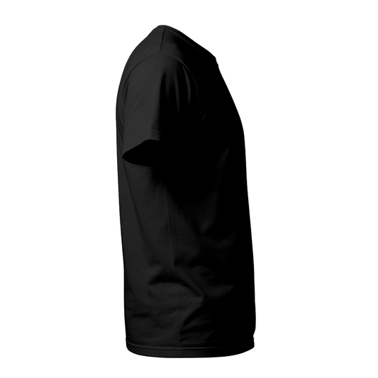 Camiseta Camisa Lisa Premium Slim Algodão Cores Variadas (10 PEÇAS POR VARIAÇÃO)