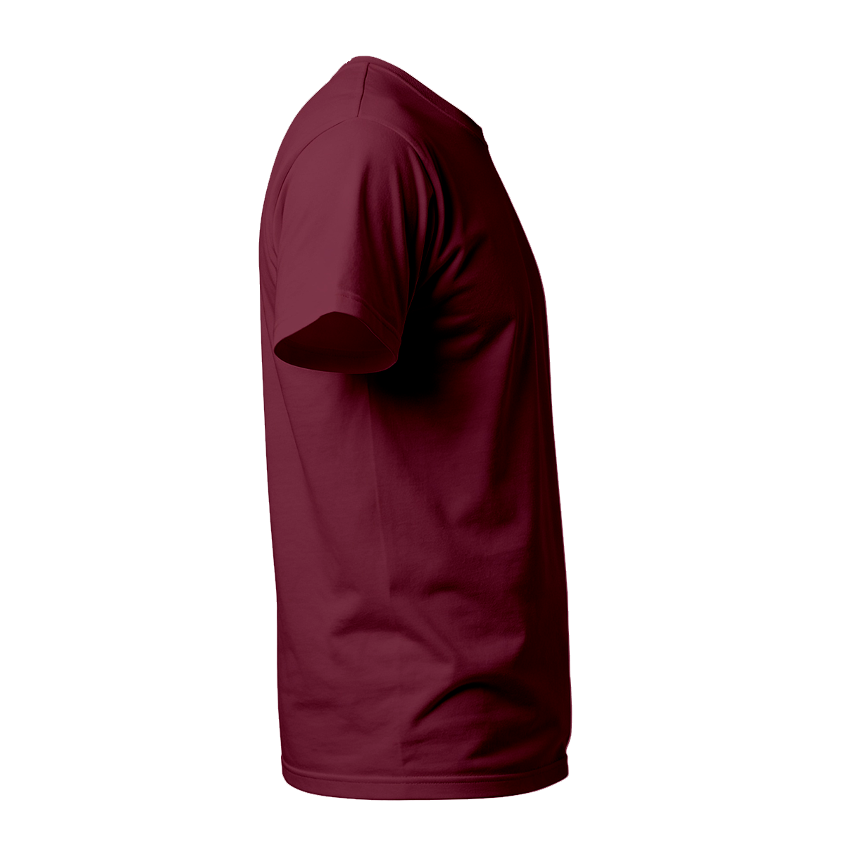 Camiseta Camisa Lisa Premium Slim Algodão Cores Variadas (10 PEÇAS POR VARIAÇÃO)