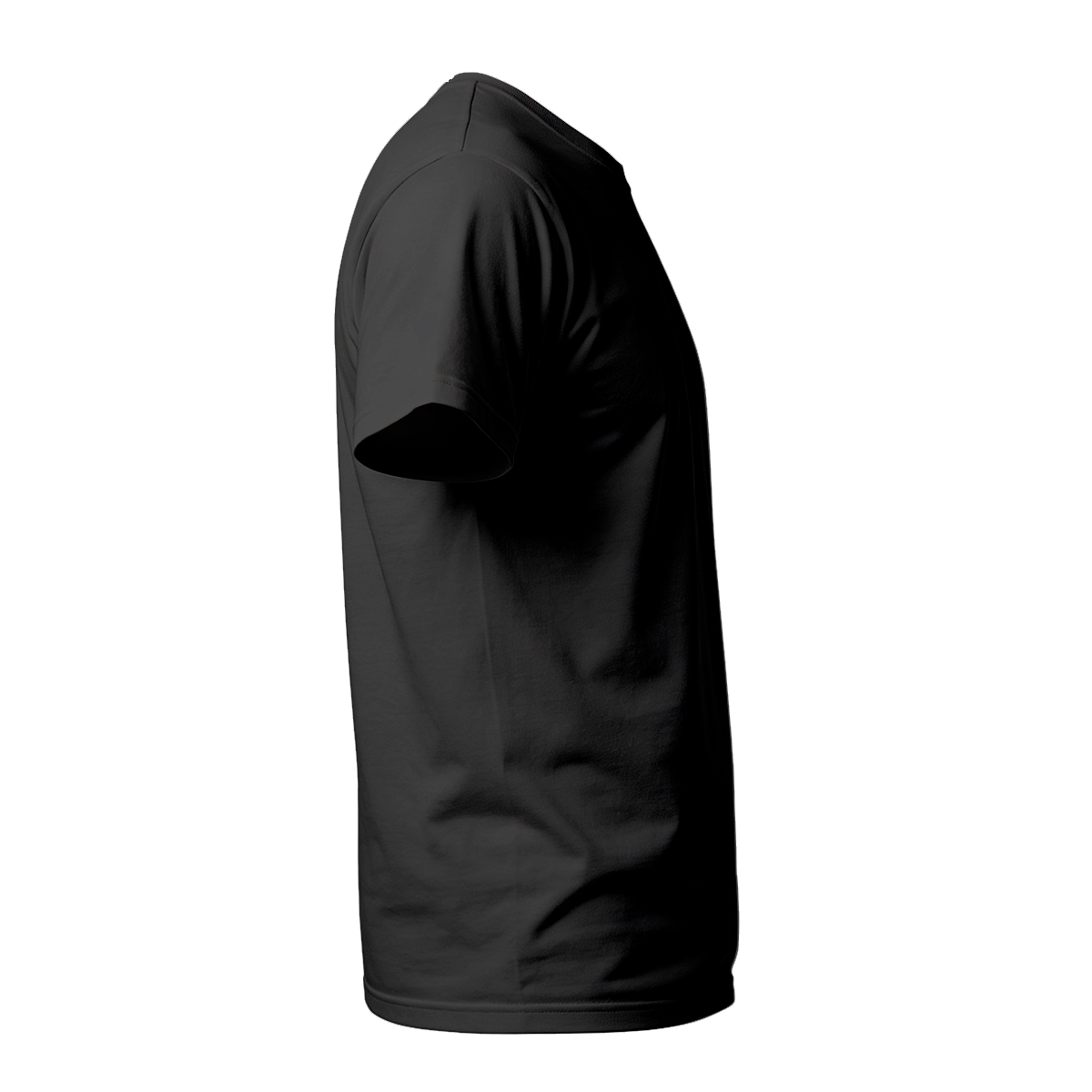 Camiseta Camisa Lisa Premium Slim Algodão Cores Variadas (10 PEÇAS POR VARIAÇÃO)