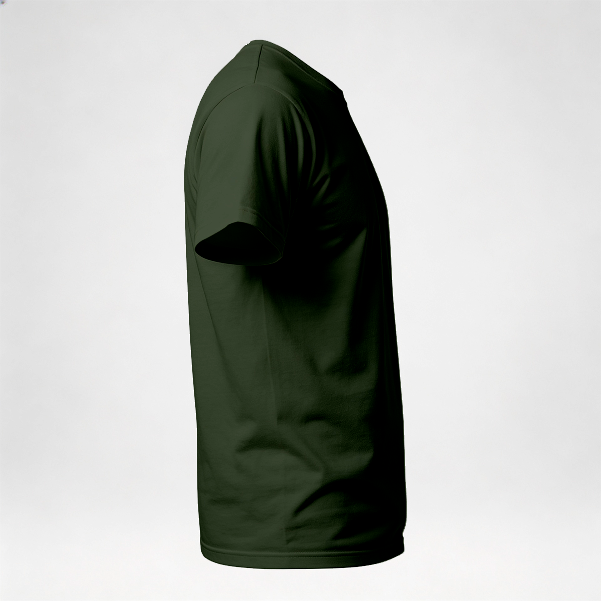 Camiseta Camisa Lisa Premium Slim Algodão Cores Variadas (10 PEÇAS POR VARIAÇÃO)